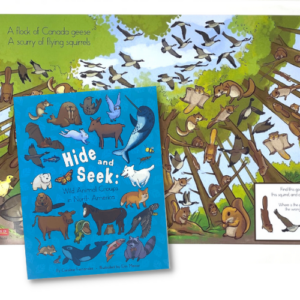 Hide and Seek + Squirrel Poster