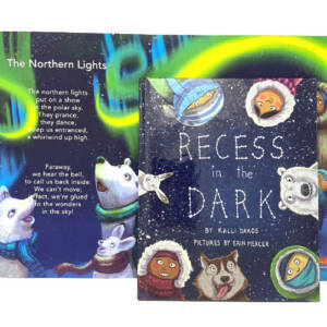 Recess + The Northern Lights Poster