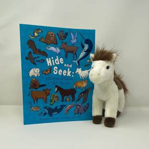 Hide & Seek Book + Pony Plush