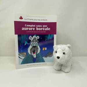 Complot sous une aurore boréale + Polar Bear Plush