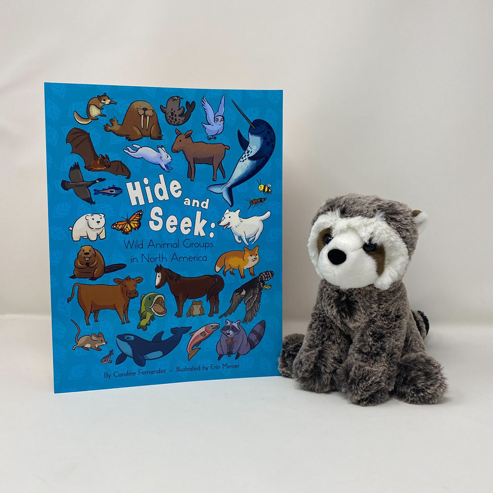 Hide & Seek Book + Raccoon Plush