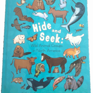 Hide and Seek (Hard Cover)